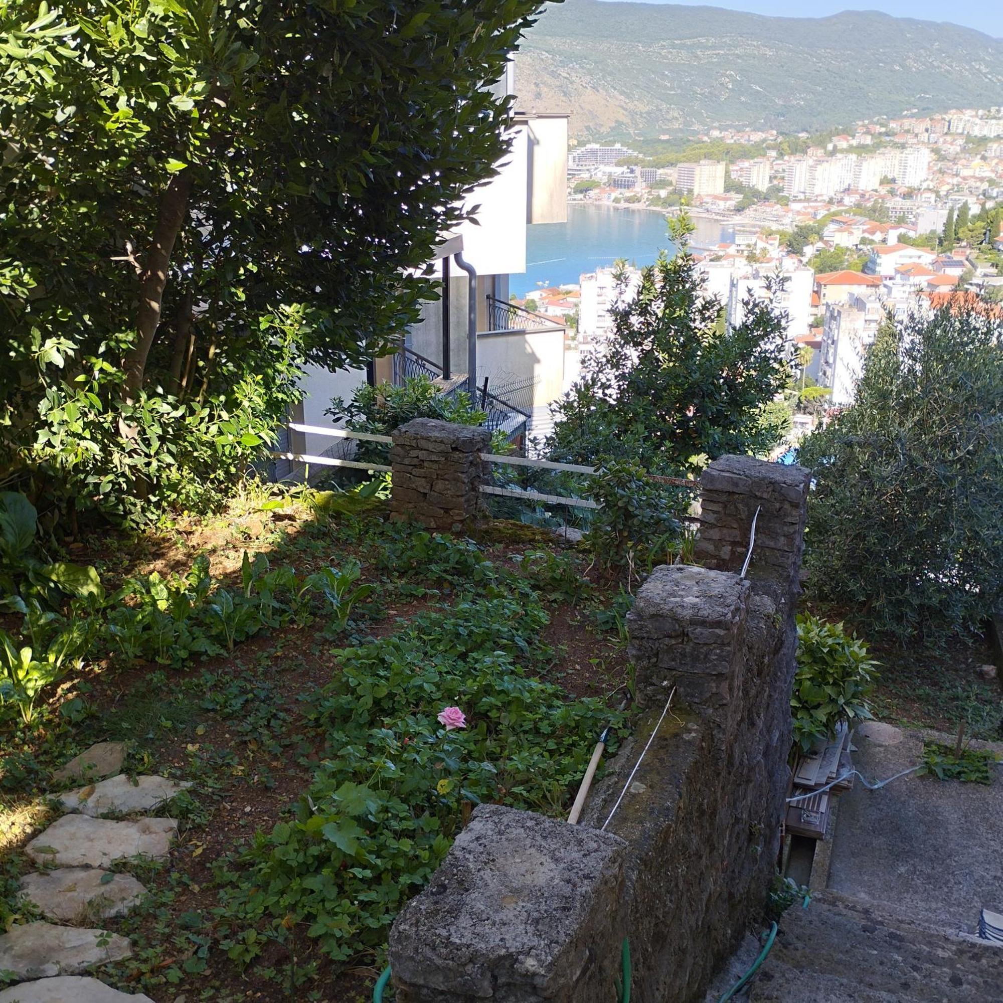 Apartmani Lovor Herceg Novi Quarto foto